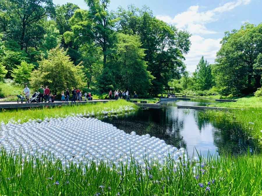 IMG_8433.jpg?type=w966