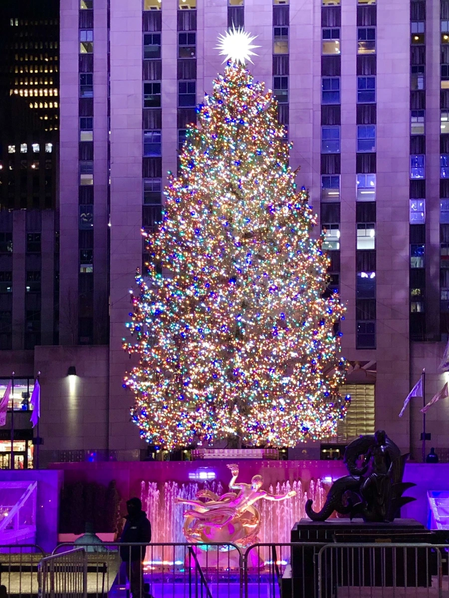 IMG_6119.jpg?type=w966