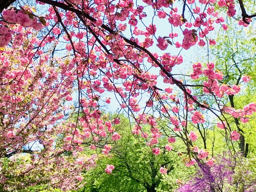 IMG_5817.jpg?type=w966