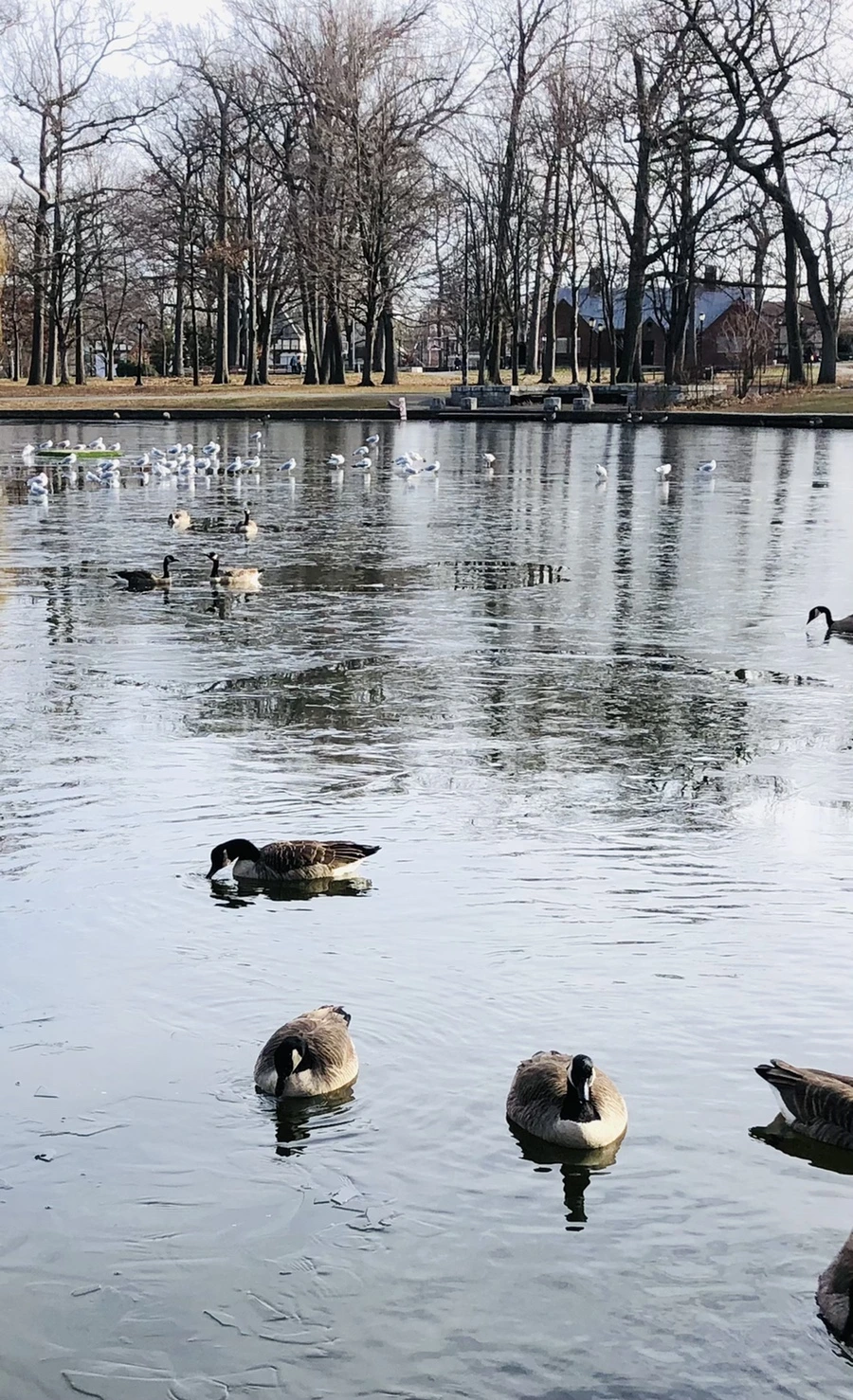 IMG_8467.jpg?type=w966