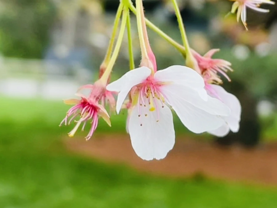 IMG_1399.jpg?type=w966