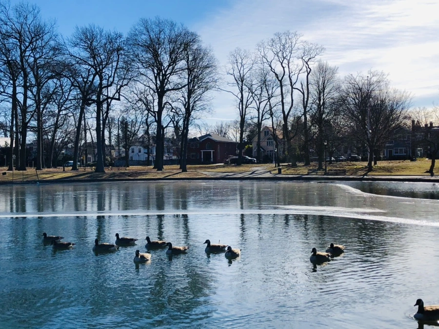 IMG_5542.jpg?type=w966