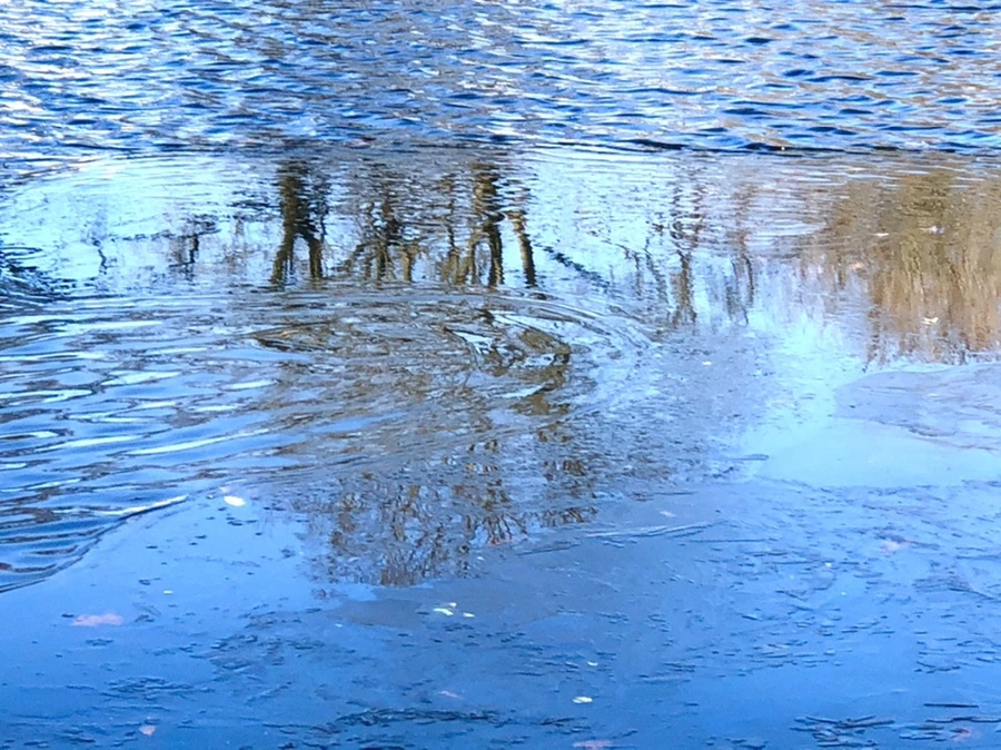 IMG_0566.jpg?type=w966