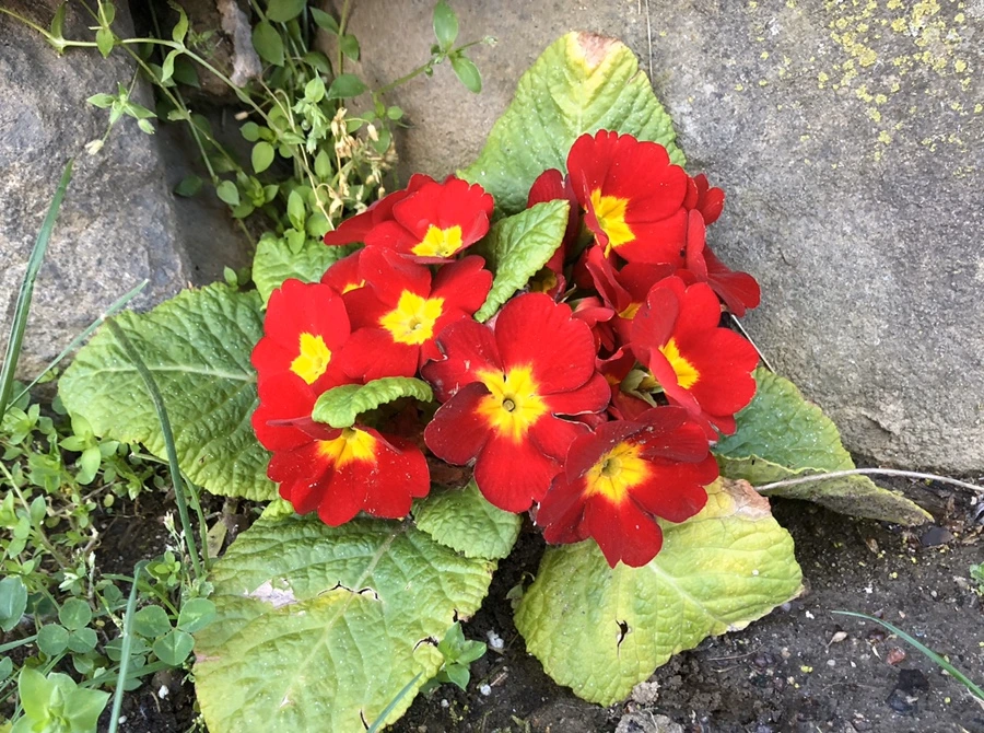 IMG_7214.jpg?type=w966