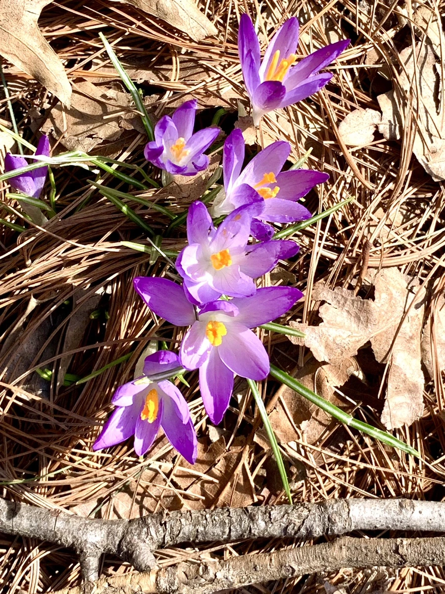 IMG_9650.jpg?type=w966