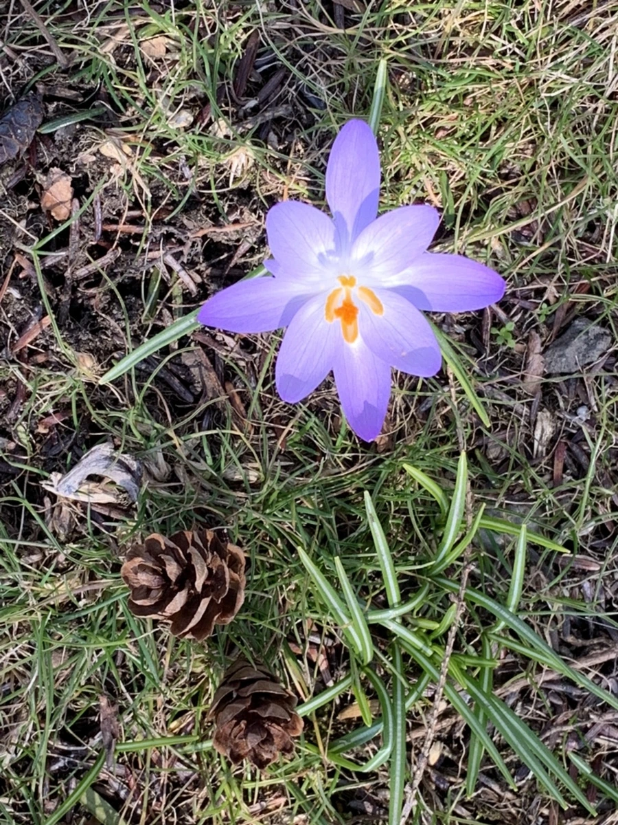 IMG_9205.jpg?type=w966