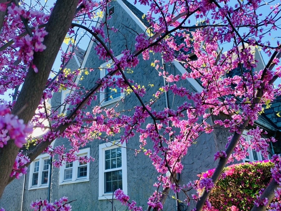 ZaubmZPbtfPFXDqSsYALkQsu7MQ