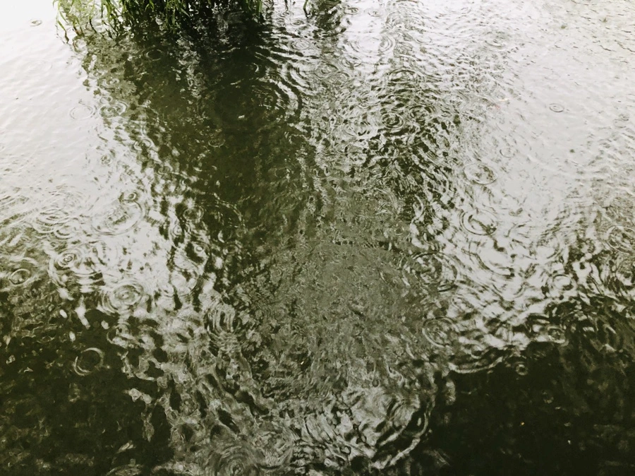 IMG_5090.jpg?type=w966