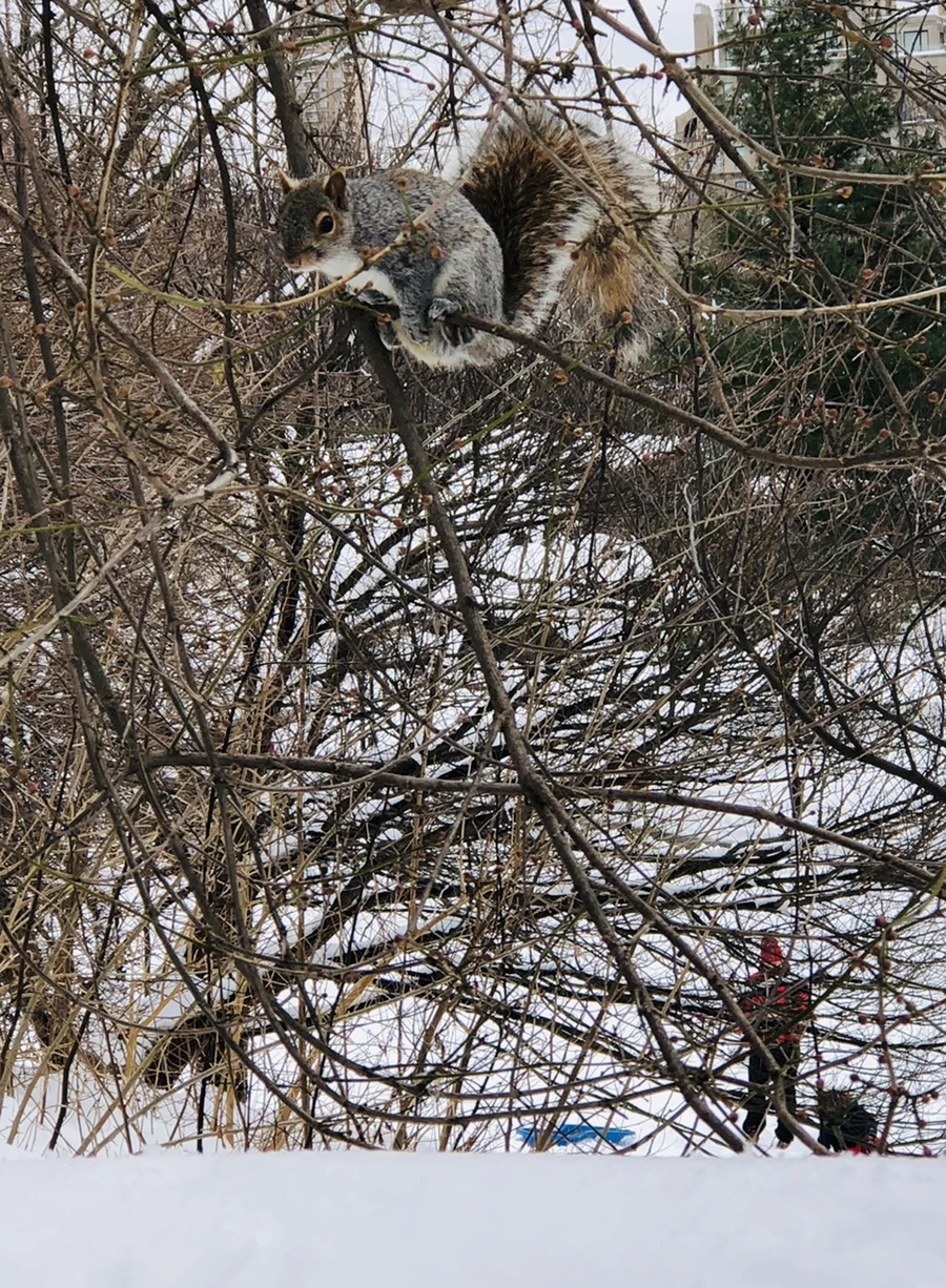 IMG_9577.jpg?type=w966