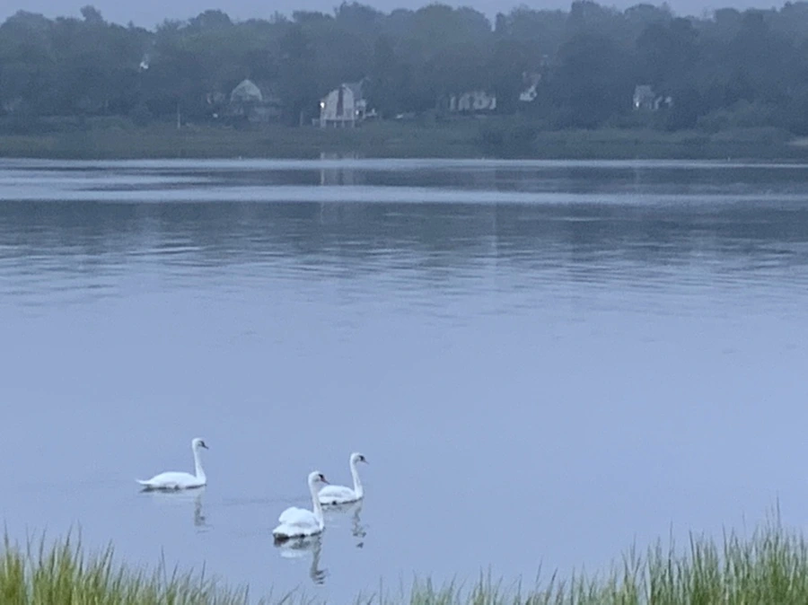 IMG_6645.jpg?type=w966