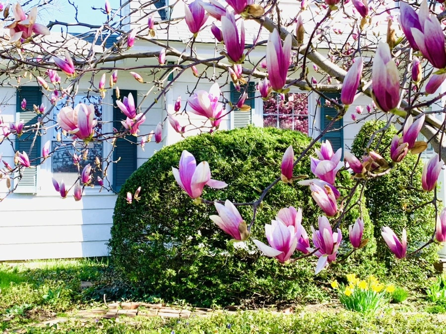 IMG_7512.jpg?type=w966