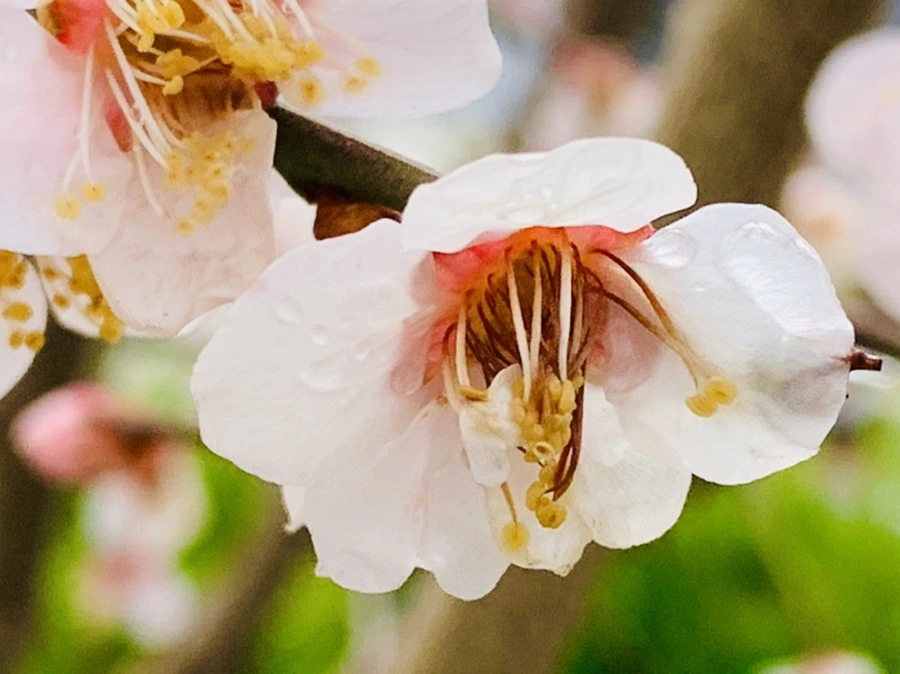 IMG_3945.jpg?type=w966