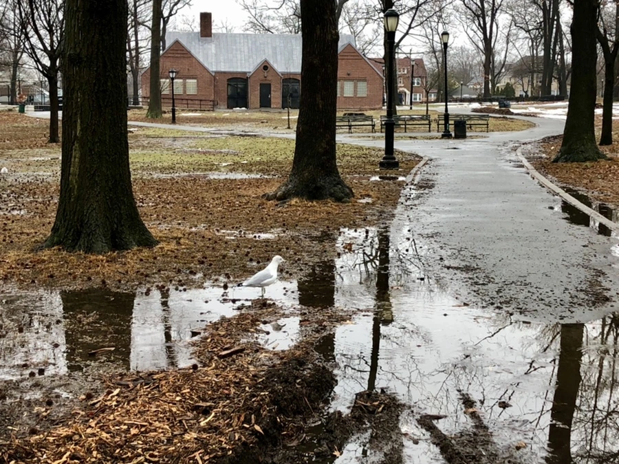 IMG_5617.jpg?type=w966