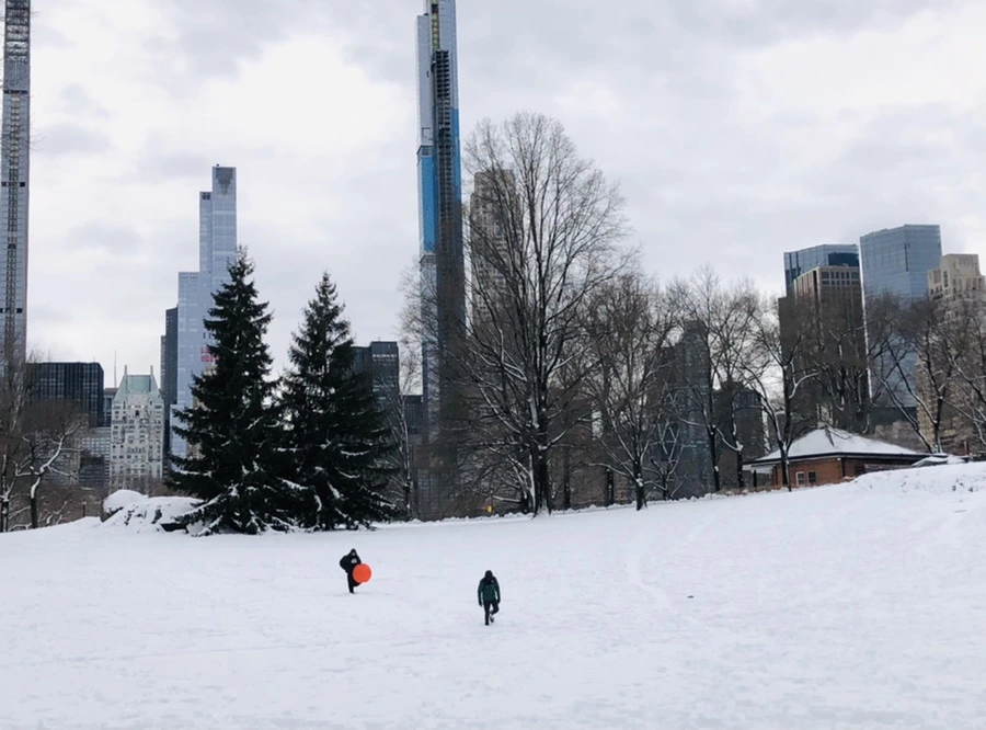 IMG_9527.jpg?type=w966