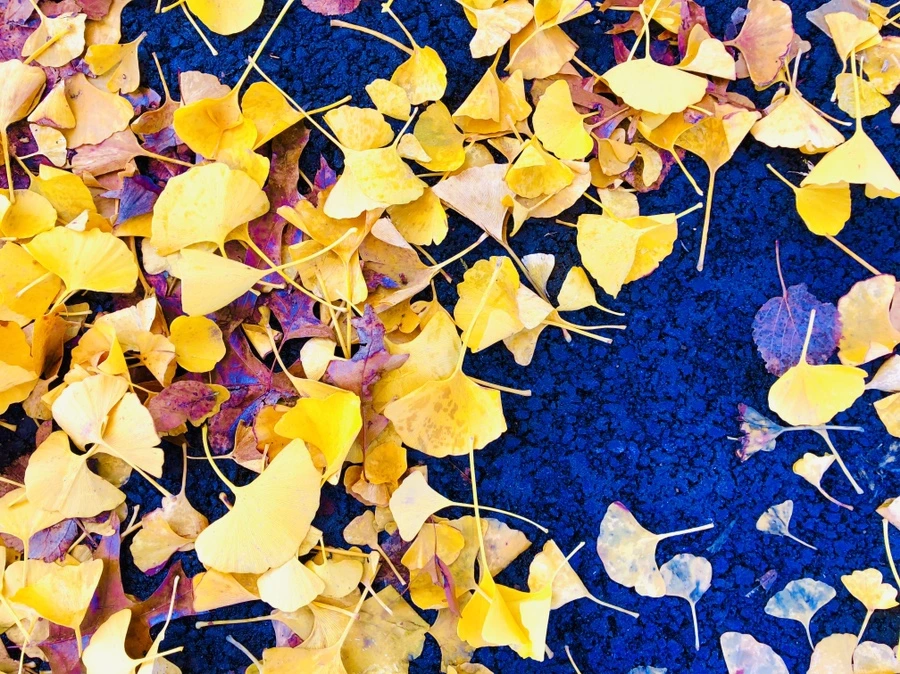 IMG_4670.jpg?type=w966