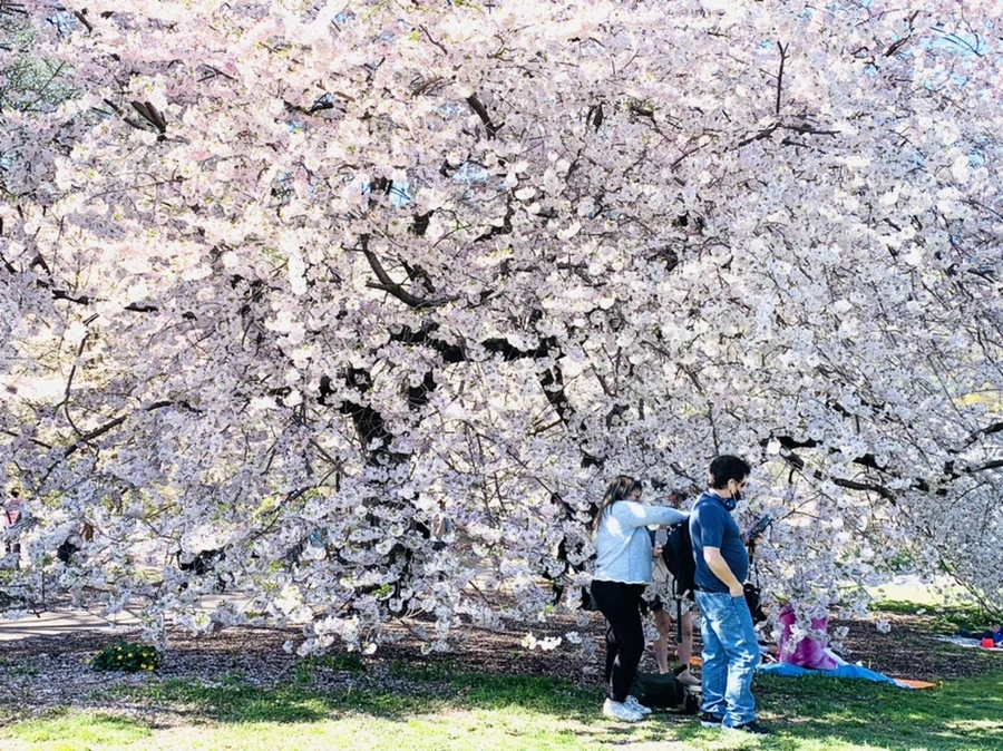 IMG_1820.jpg?type=w966