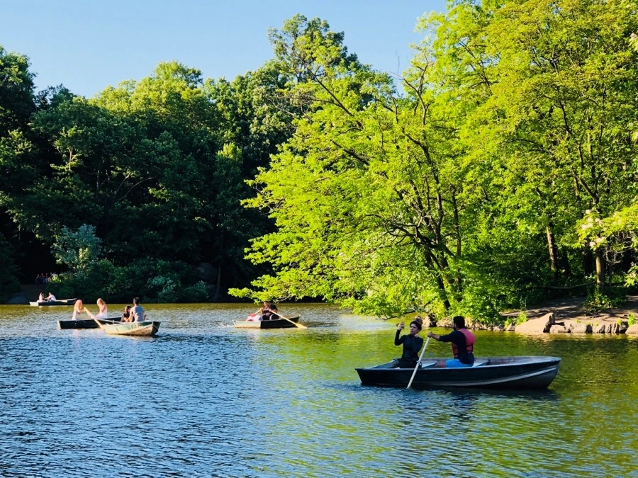 IMG_7594.jpg?type=w966