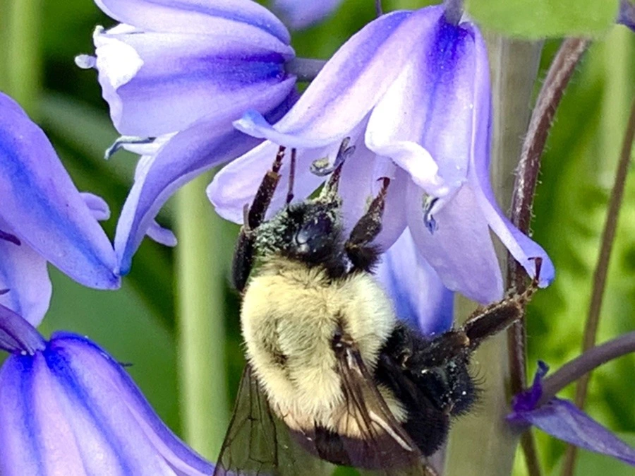 QRx-aQlcZmFsZqDnJnVaoXIgnpk