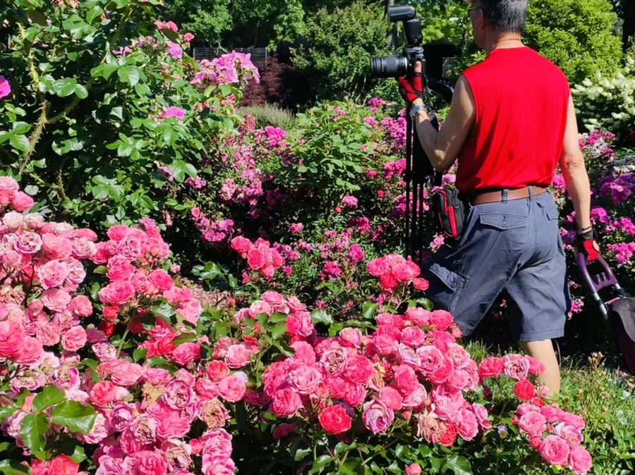 IMG_3081.jpg?type=w966