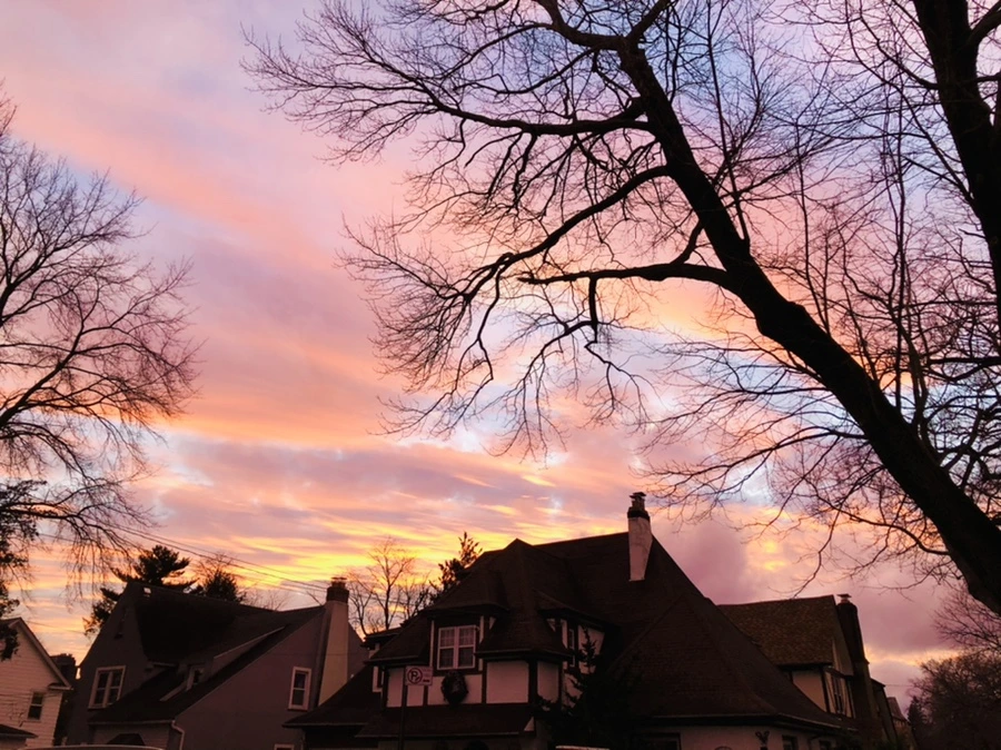 IMG_8247.jpg?type=w966