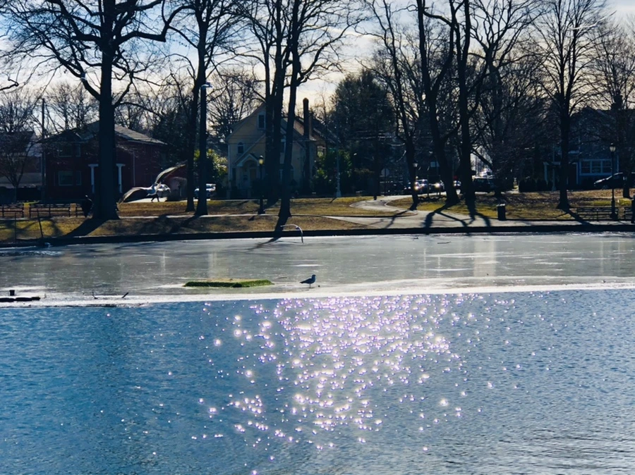 IMG_5406.jpg?type=w966