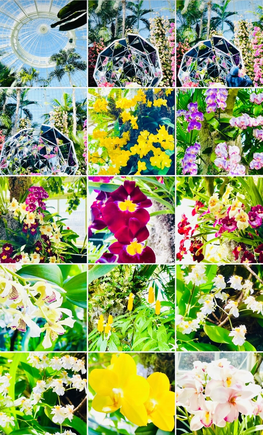 IMG_6764.jpg?type=w966