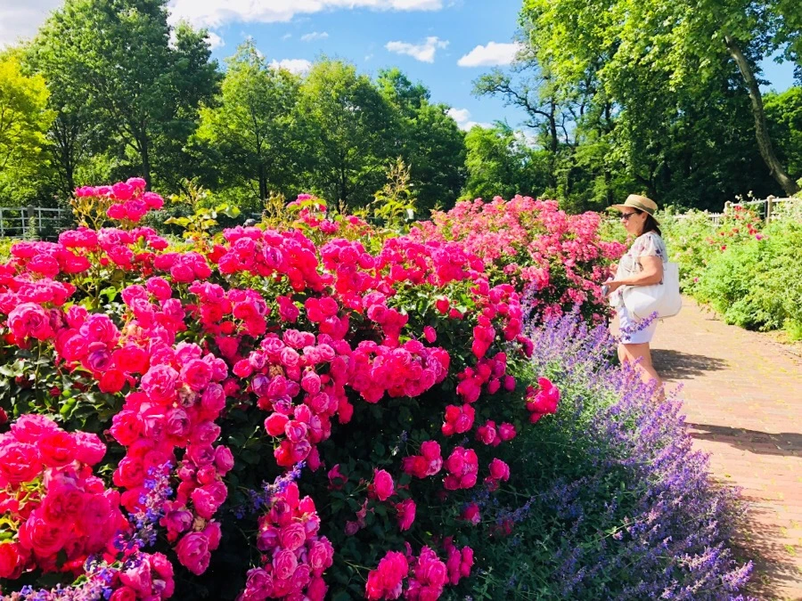 IMG_7808.jpg?type=w966