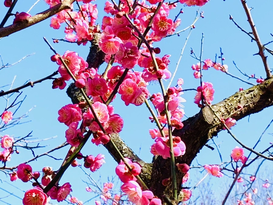 IMG_3004.jpg?type=w966