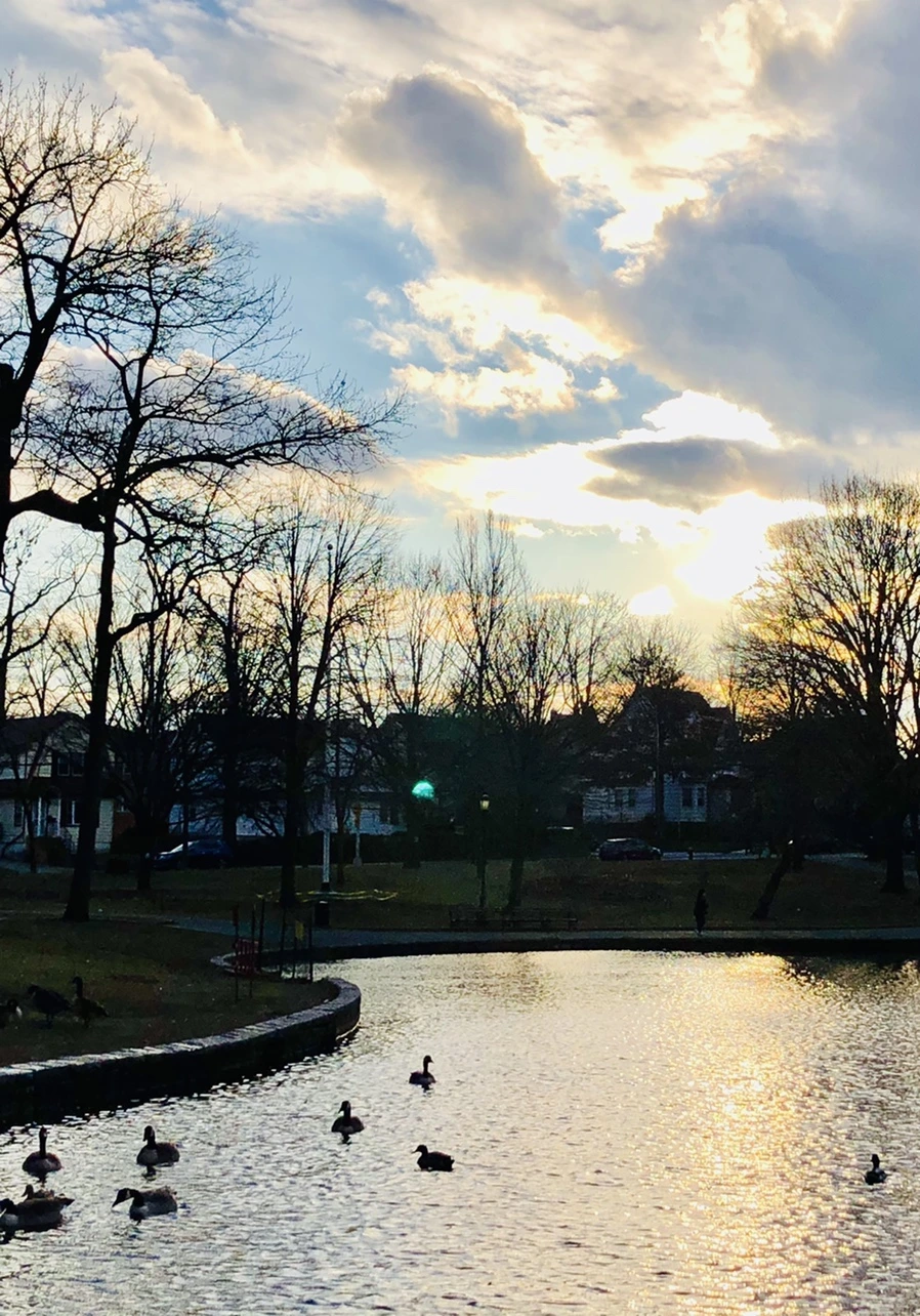 IMG_4409.jpg?type=w966