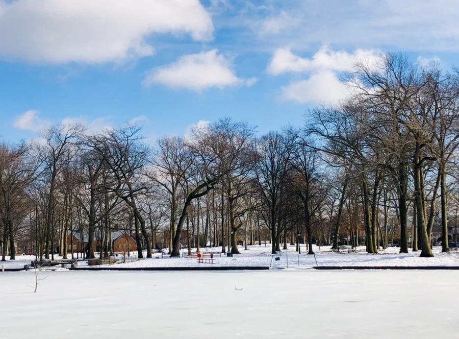 IMG_2969.jpg?type=w966