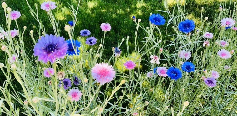 QO7xyE-tOqTSvG0HVMXrPv7gvLw