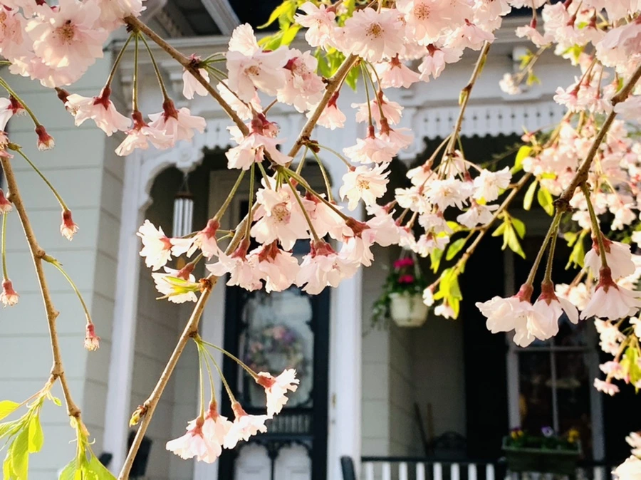 IMG_3675.jpg?type=w966