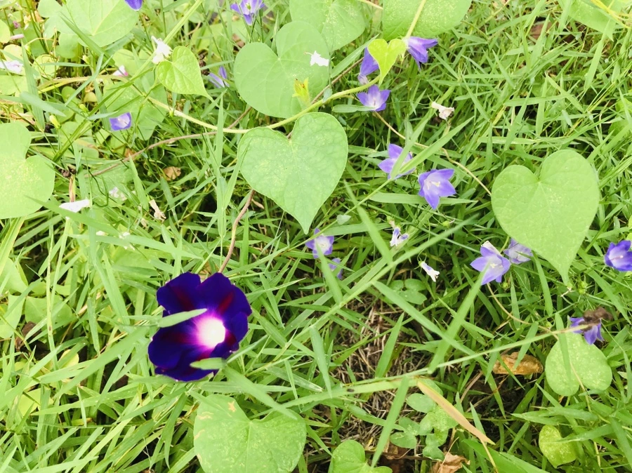 IMG_3998.jpg?type=w966