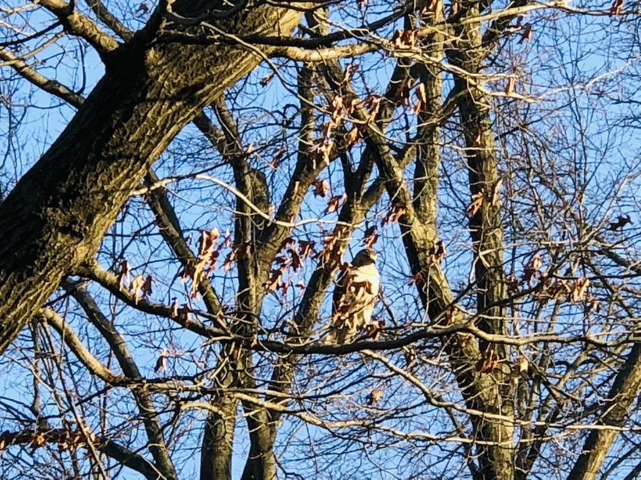 IMG_4840.jpg?type=w966