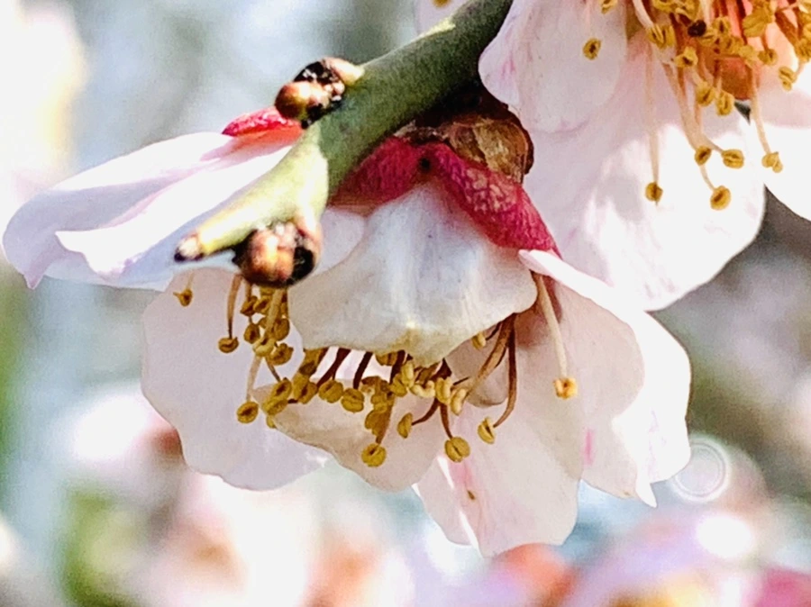 IMG_4234.jpg?type=w966