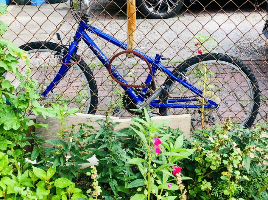 IMG_4226.jpg?type=w966