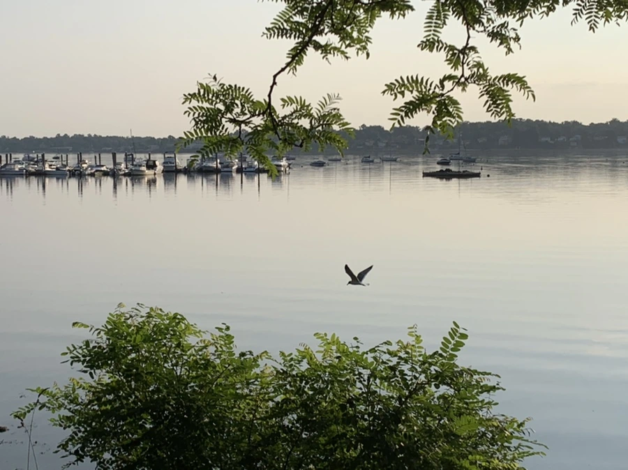 IMG_5831.jpg?type=w966