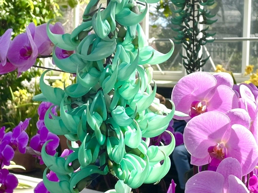 1ZaXX_OBxGElZjkQ5iNLBW85fMI