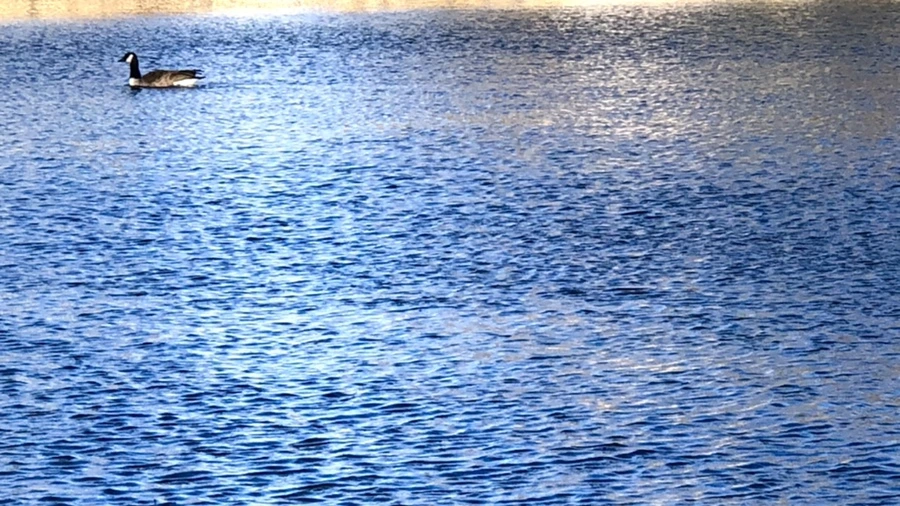 IMG_3820.jpg?type=w966