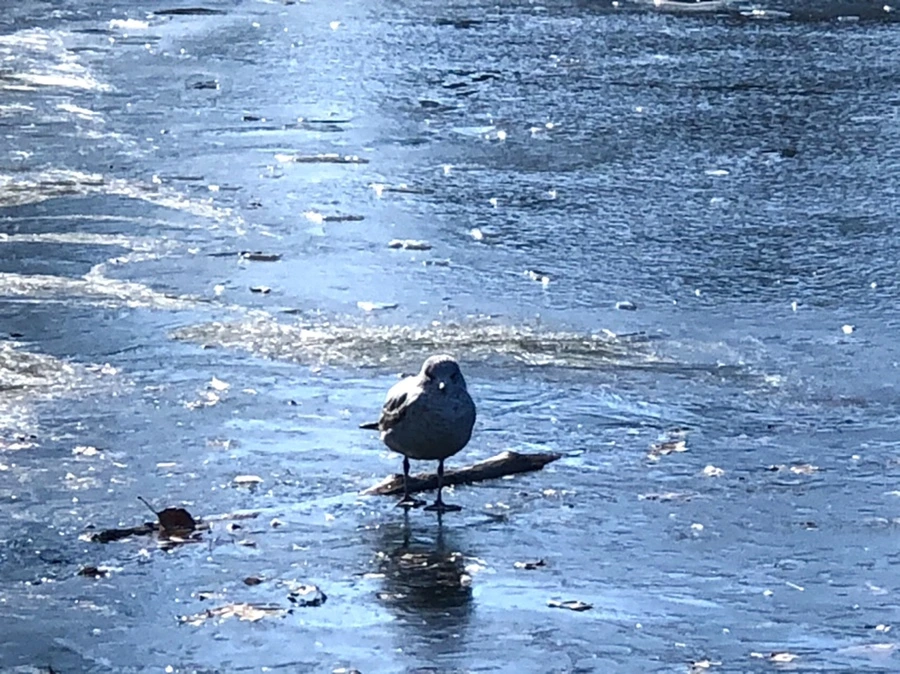 IMG_6583.jpg?type=w966