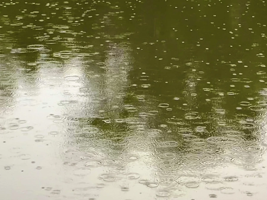 IMG_8303.jpg?type=w966