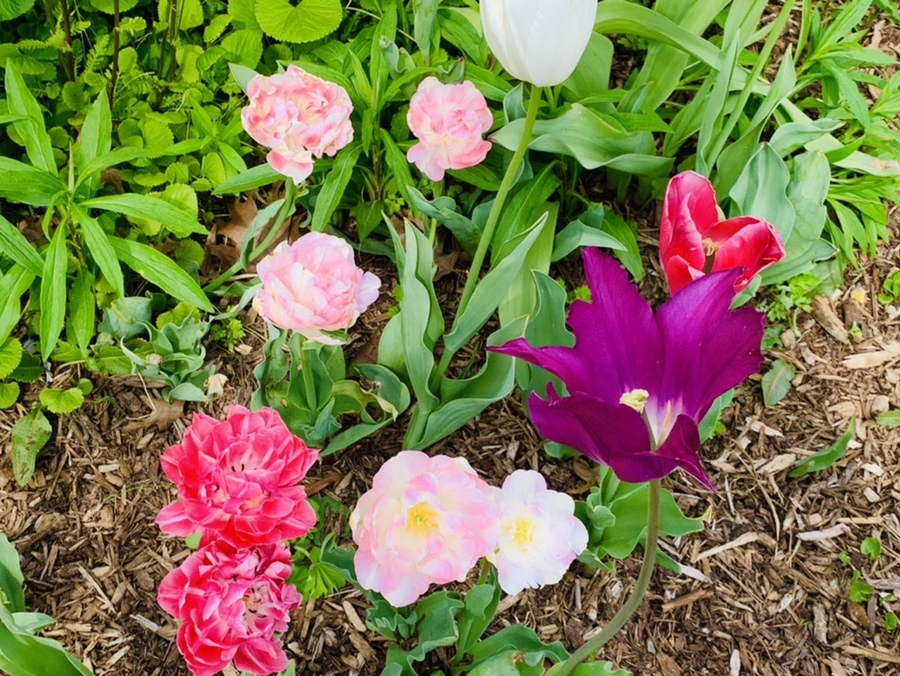 IMG_6941.jpg?type=w966