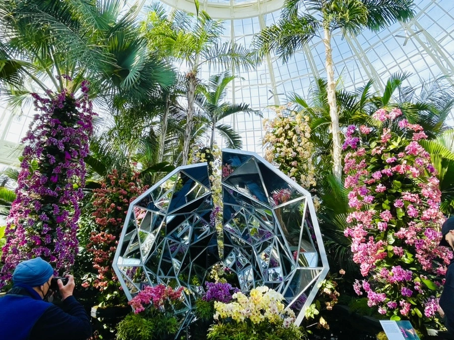 IMG_4432.jpg?type=w966