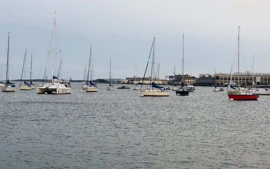 IMG_0689.jpg?type=w966