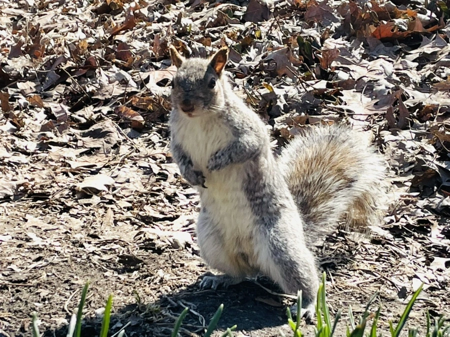 IMG_4930.jpg?type=w966