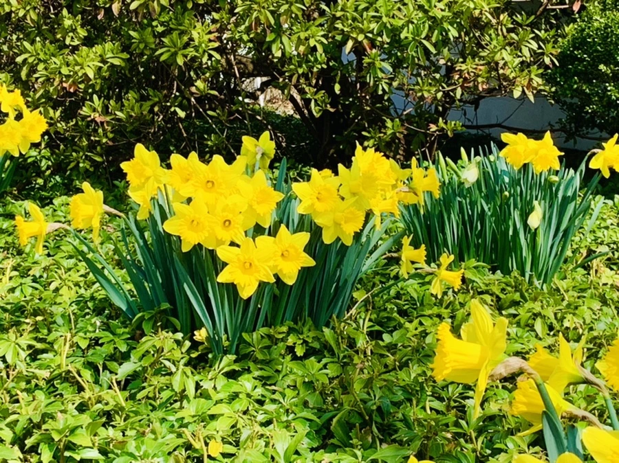 IMG_4272.jpg?type=w966