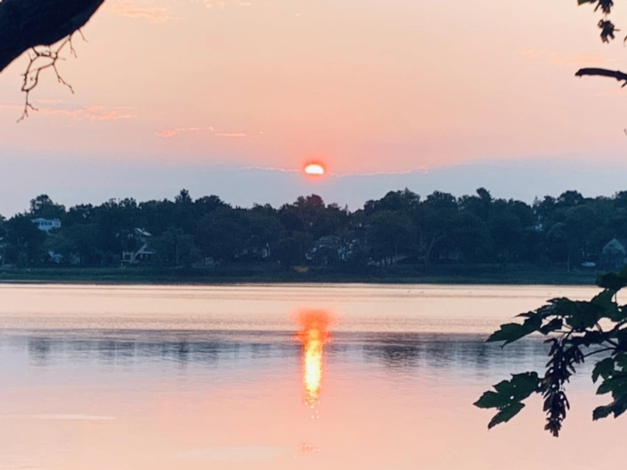 IMG_4653.jpg?type=w966