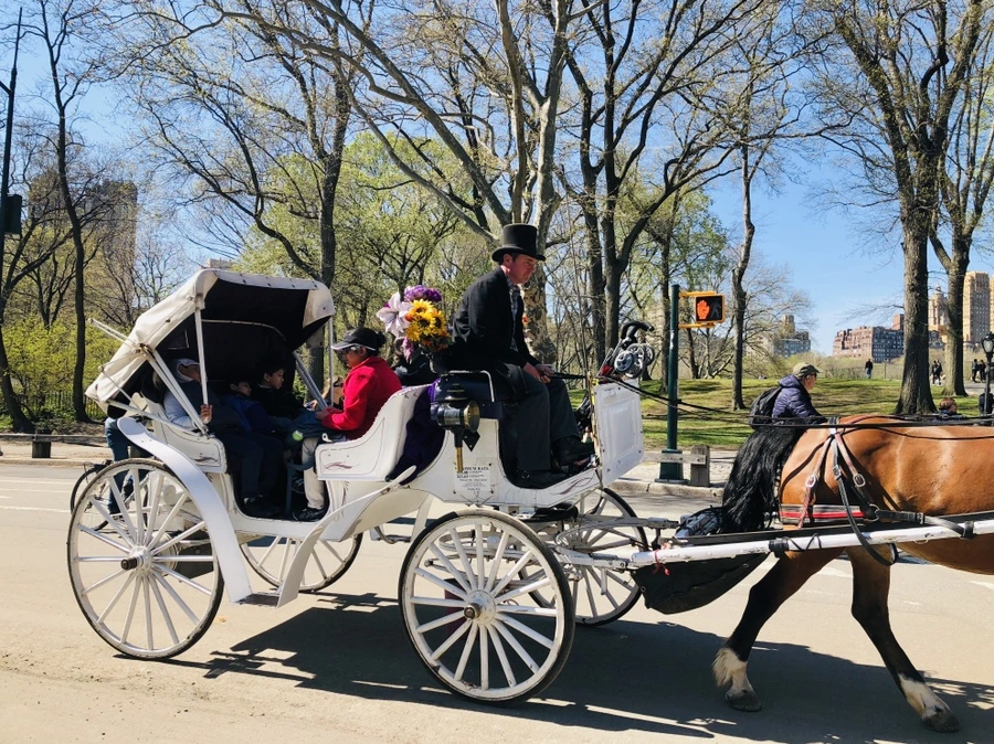 IMG_3114.jpg?type=w966