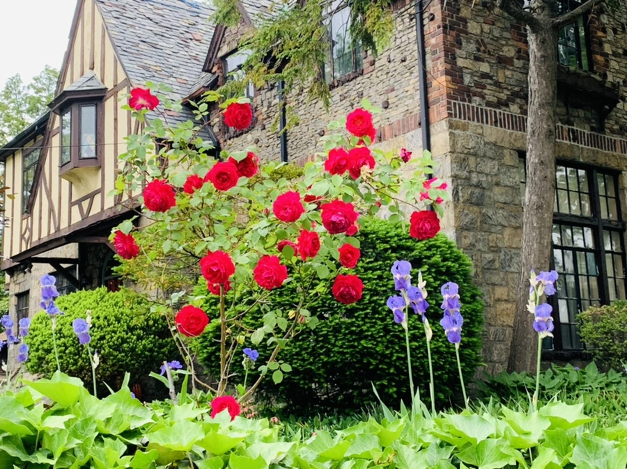 IMG_5391.jpg?type=w966