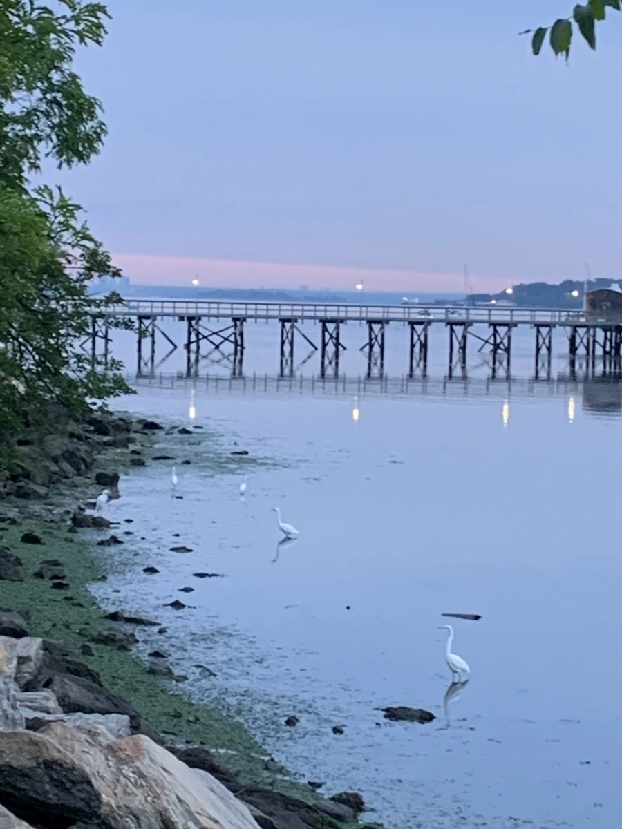 IMG_6253.jpg?type=w966